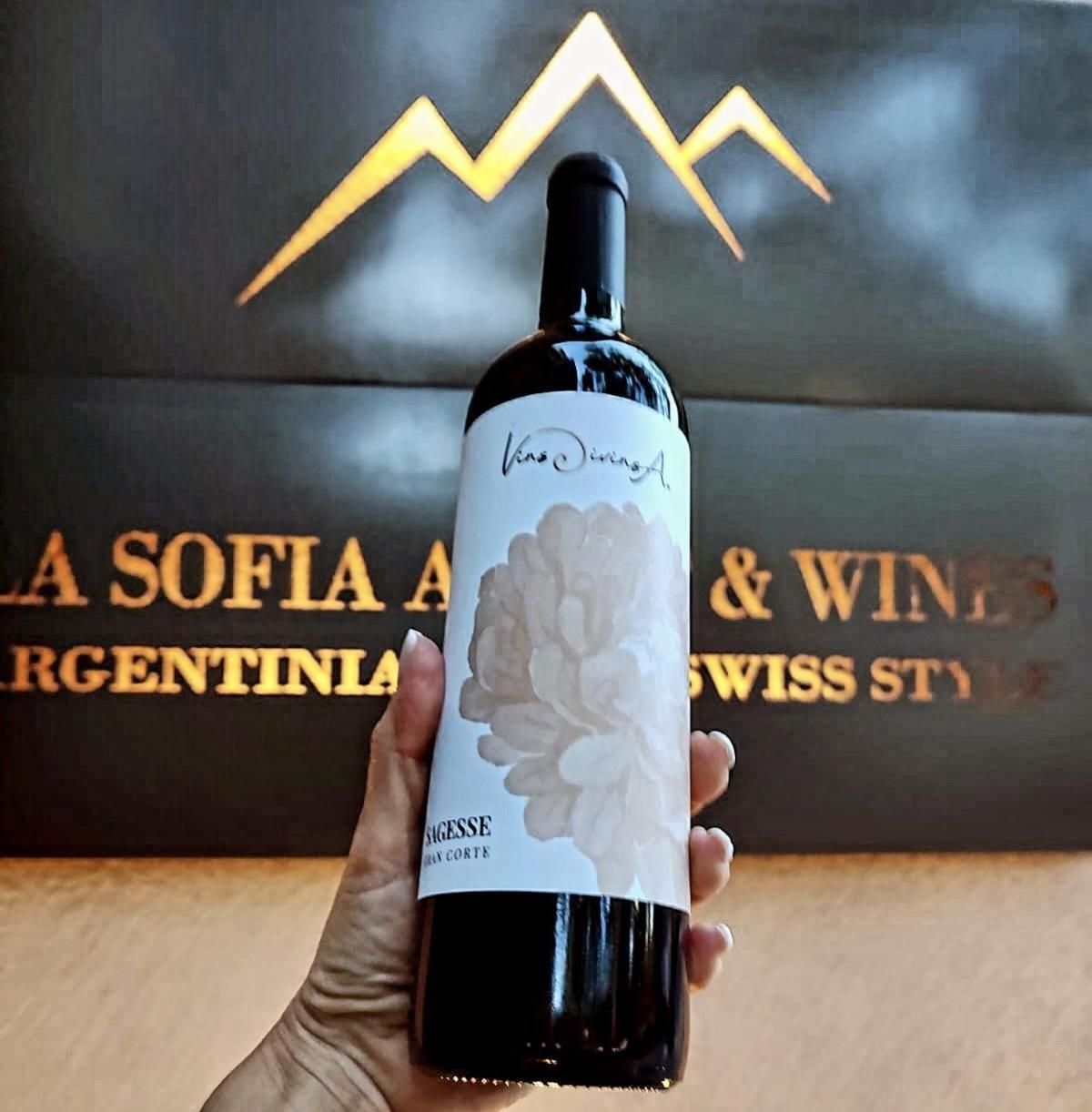 La Sofia Apart & Wines Mendoza Luaran gambar